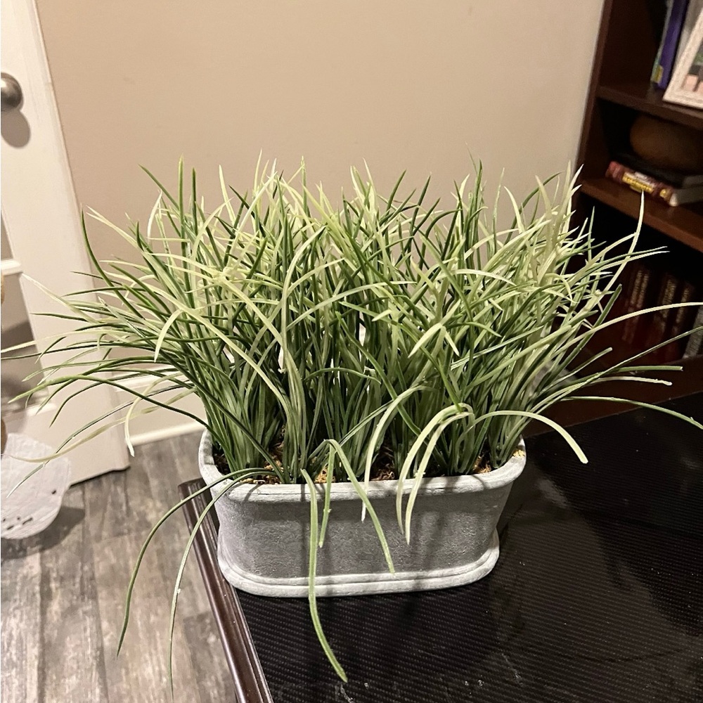 Farmhouse Decor